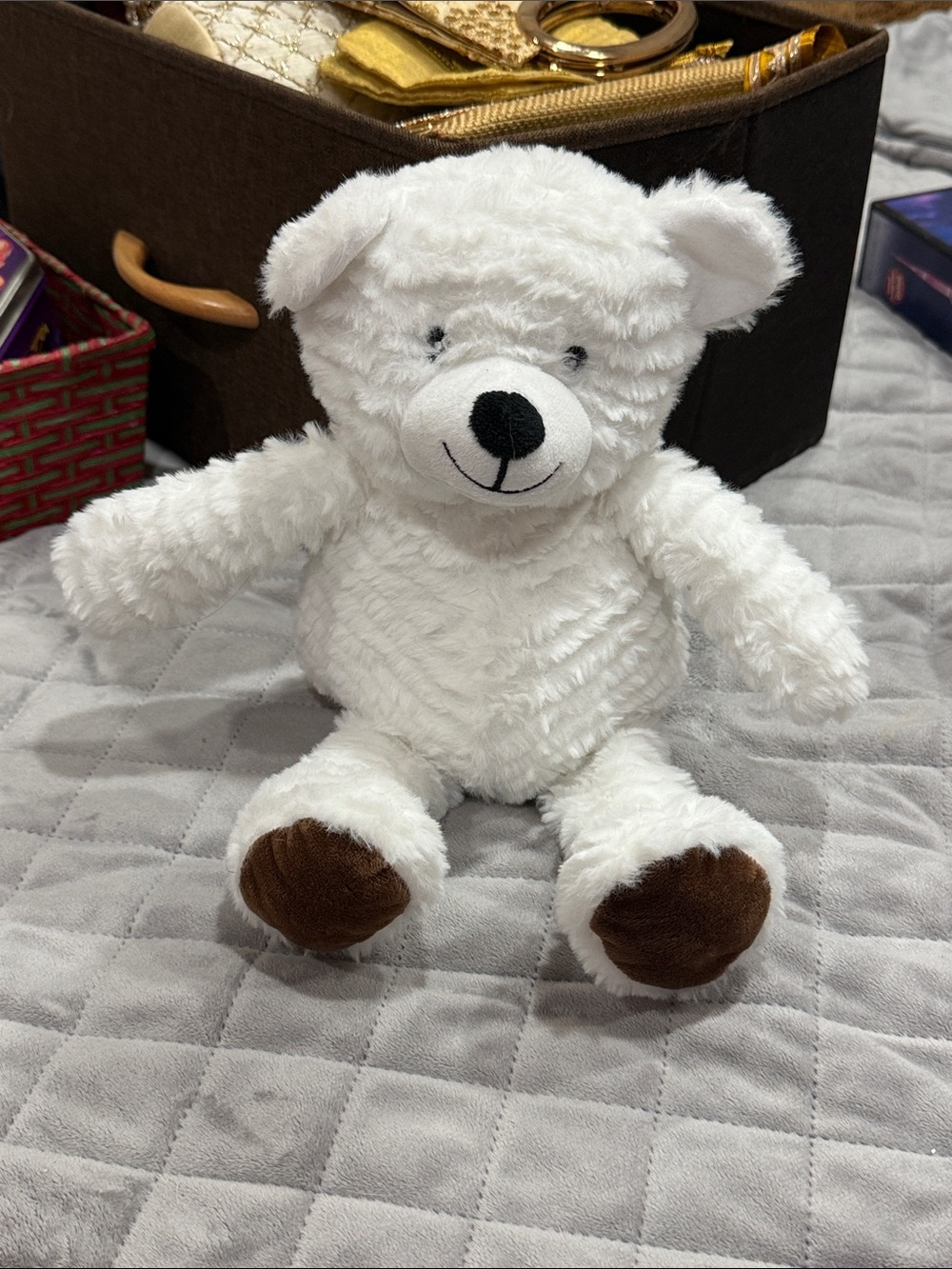 Plush White Teddy Bear with Brown Paws - Kids Toys